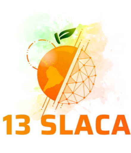  13 Slacas